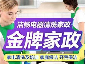 興國縣金牌家政 專業服務，品質生活的可靠之選